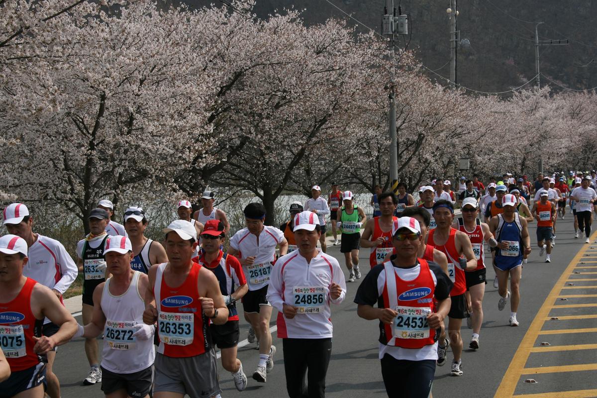 제6회 합천 벚꽃축제 마라톤대회
