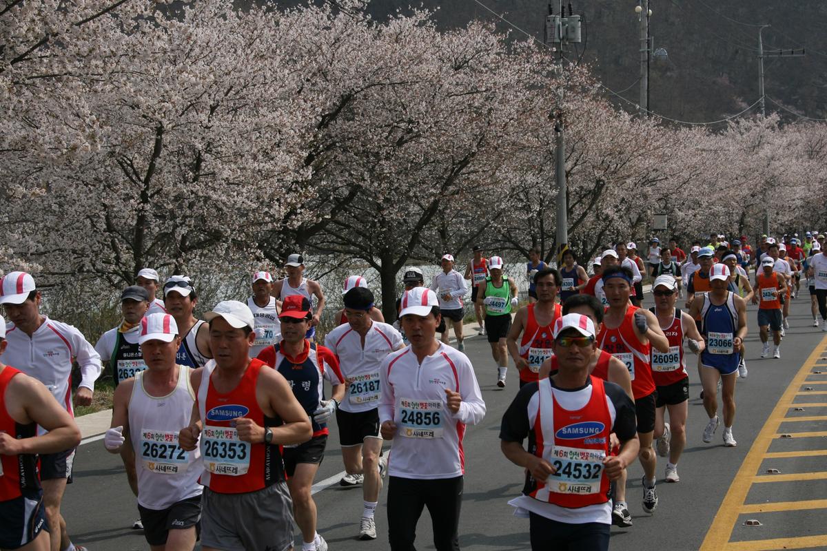 제6회 합천 벚꽃축제 마라톤대회