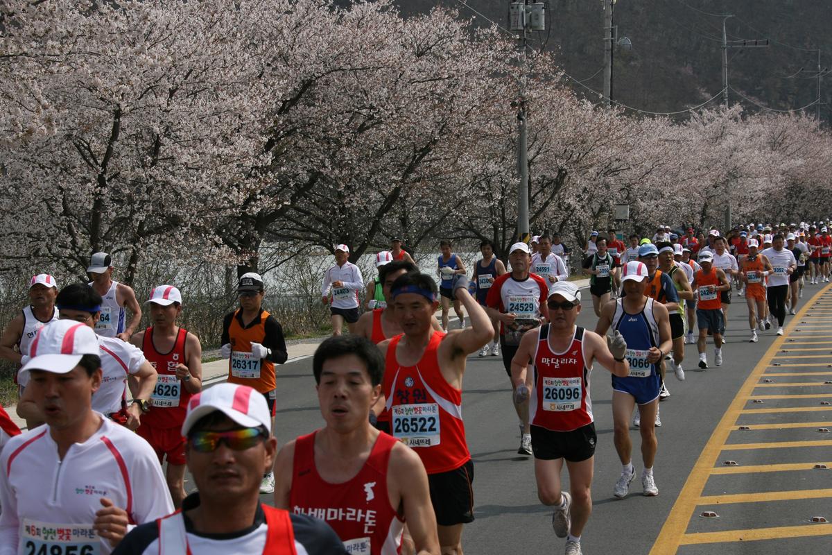 제6회 합천 벚꽃축제 마라톤대회
