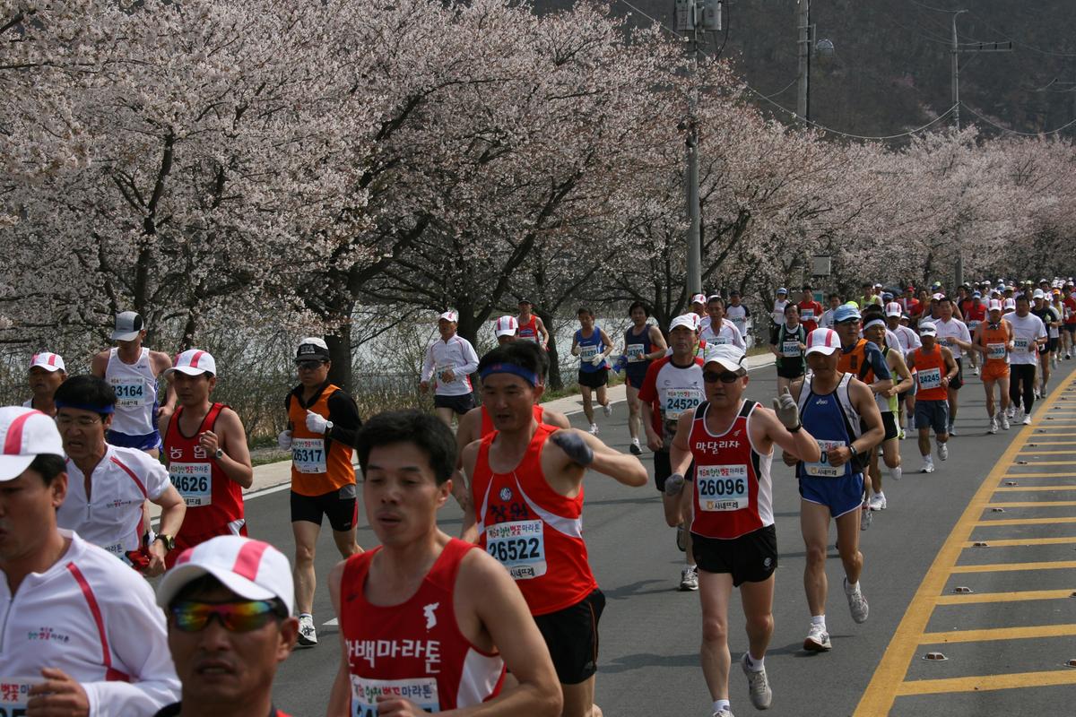 제6회 합천 벚꽃축제 마라톤대회