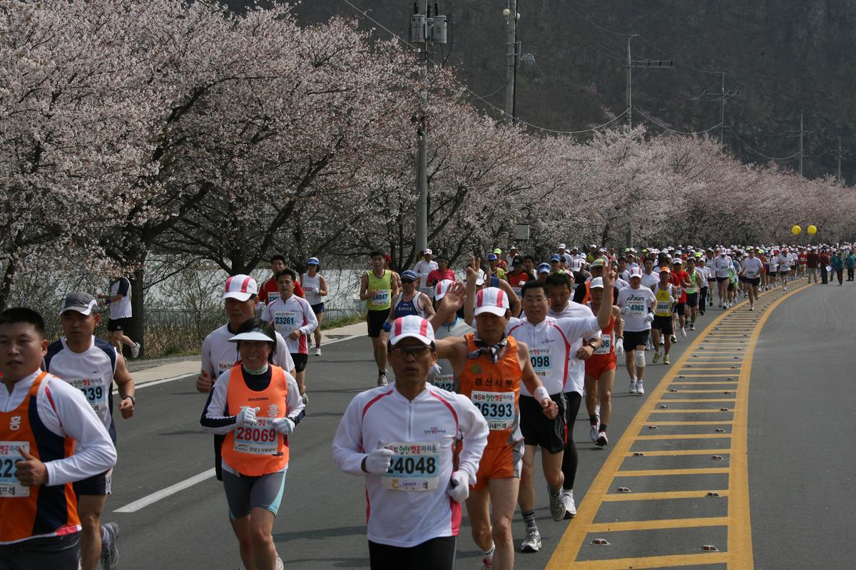제6회 합천 벚꽃축제 마라톤대회