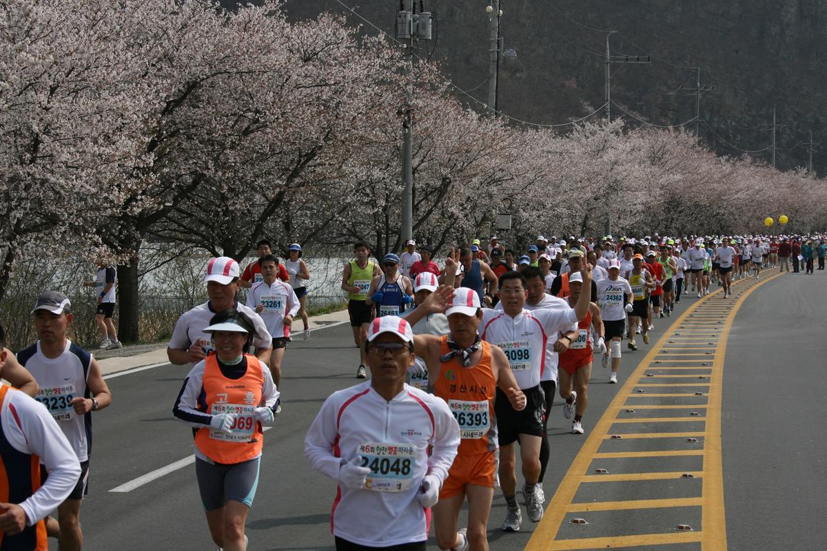 제6회 합천 벚꽃축제 마라톤대회