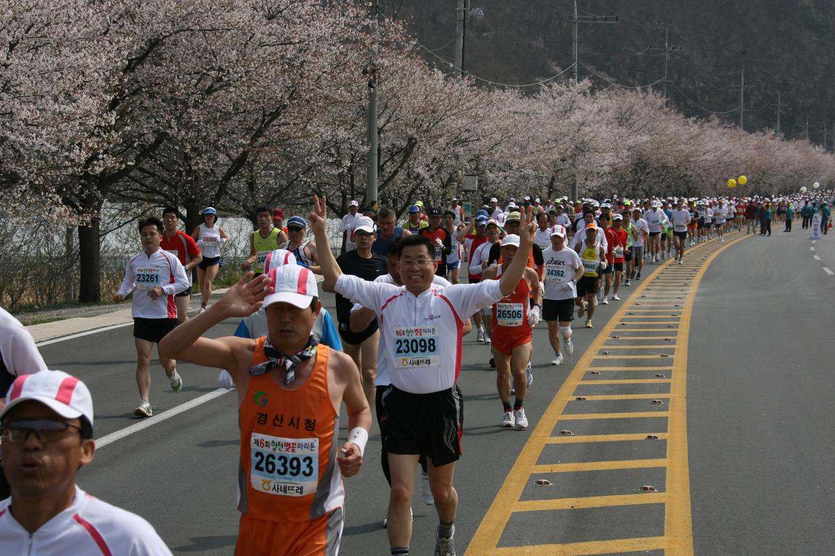 제6회 합천 벚꽃축제 마라톤대회