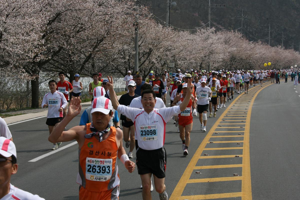 제6회 합천 벚꽃축제 마라톤대회
