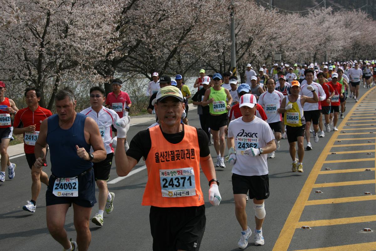 제6회 합천 벚꽃축제 마라톤대회
