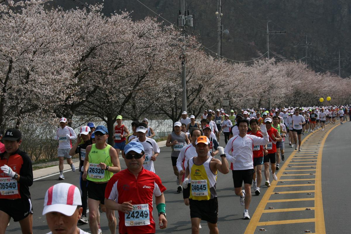 제6회 합천 벚꽃축제 마라톤대회