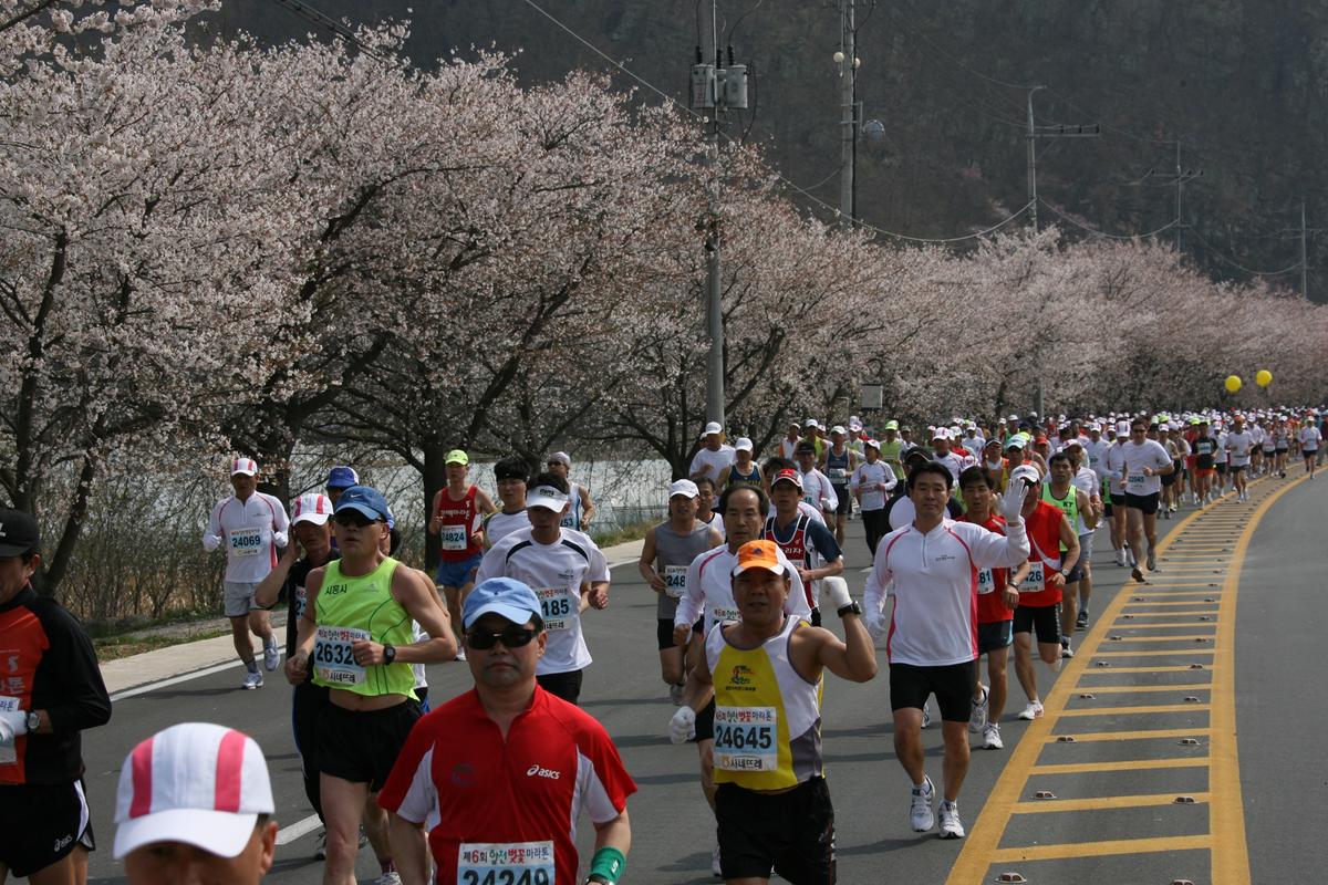 제6회 합천 벚꽃축제 마라톤대회
