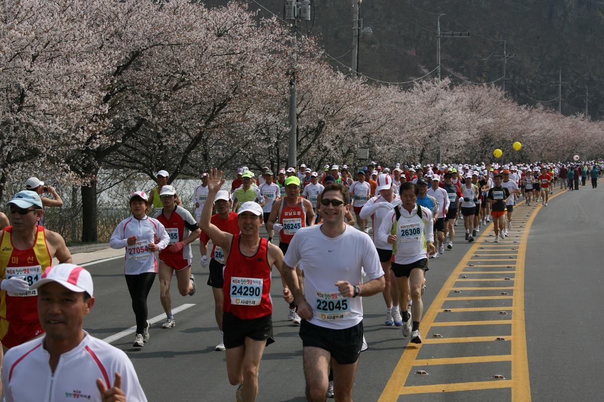 제6회 합천 벚꽃축제 마라톤대회