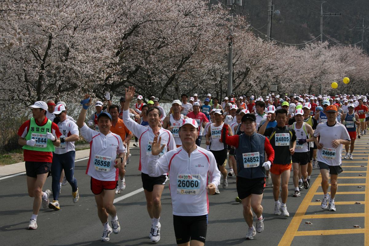 제6회 합천 벚꽃축제 마라톤대회