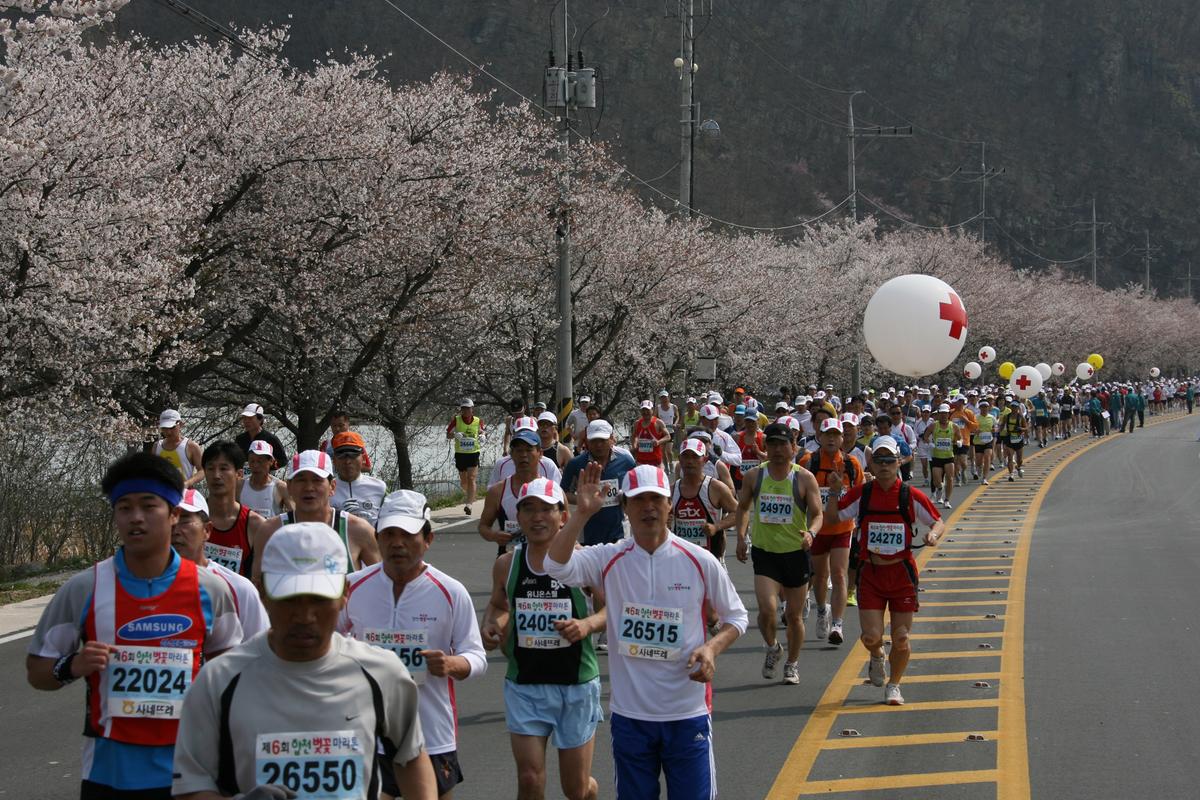 제6회 합천 벚꽃축제 마라톤대회