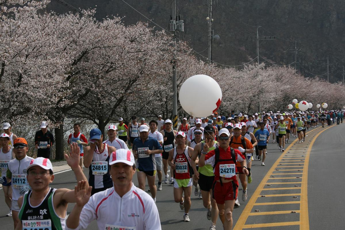 제6회 합천 벚꽃축제 마라톤대회