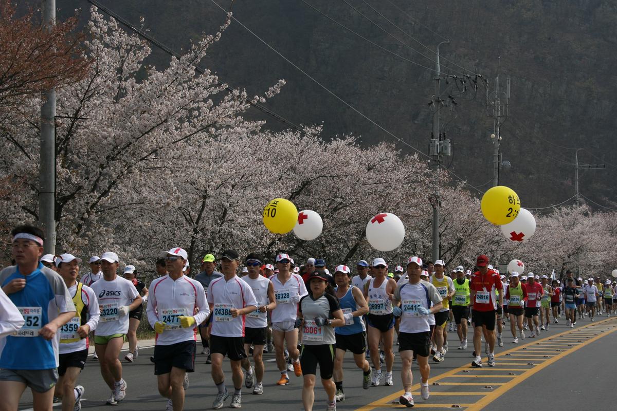 제6회 합천 벚꽃축제 마라톤대회