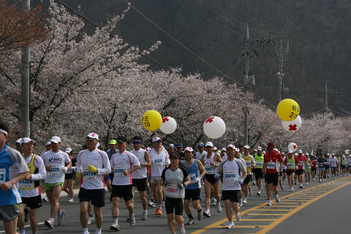 제6회 합천 벚꽃축제 마라톤대회