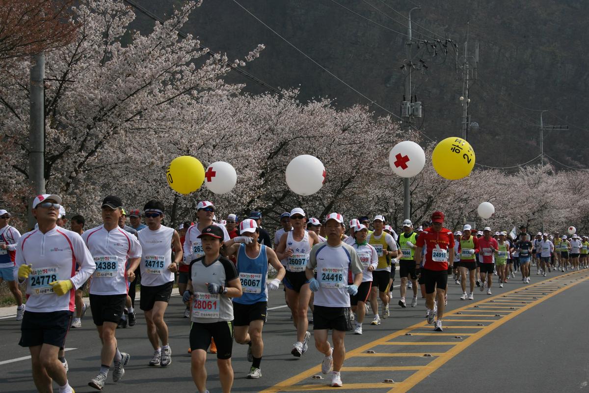 제6회 합천 벚꽃축제 마라톤대회