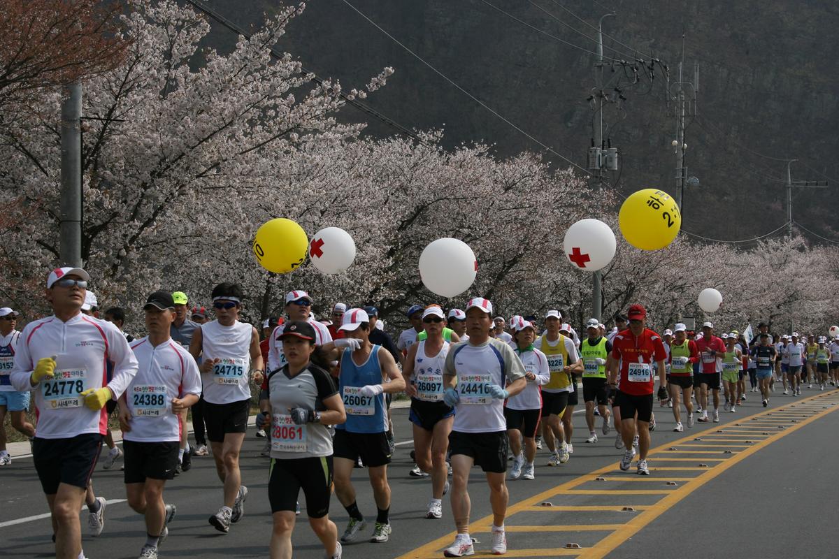 제6회 합천 벚꽃축제 마라톤대회