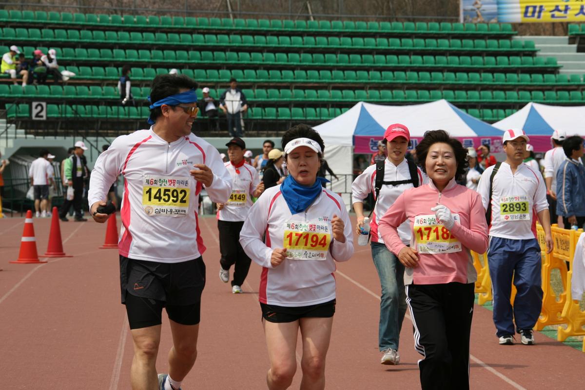 제6회 합천 벚꽃축제 마라톤대회