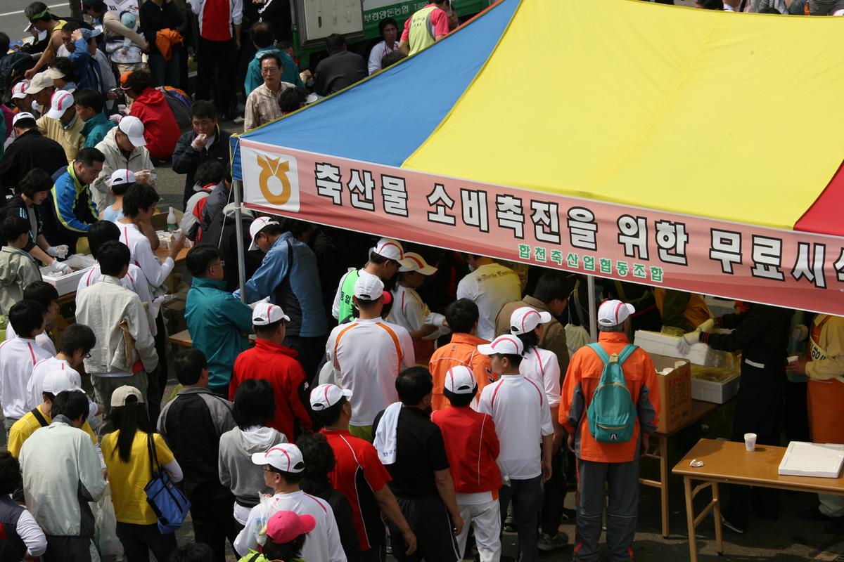 제6회 합천 벚꽃축제 마라톤대회