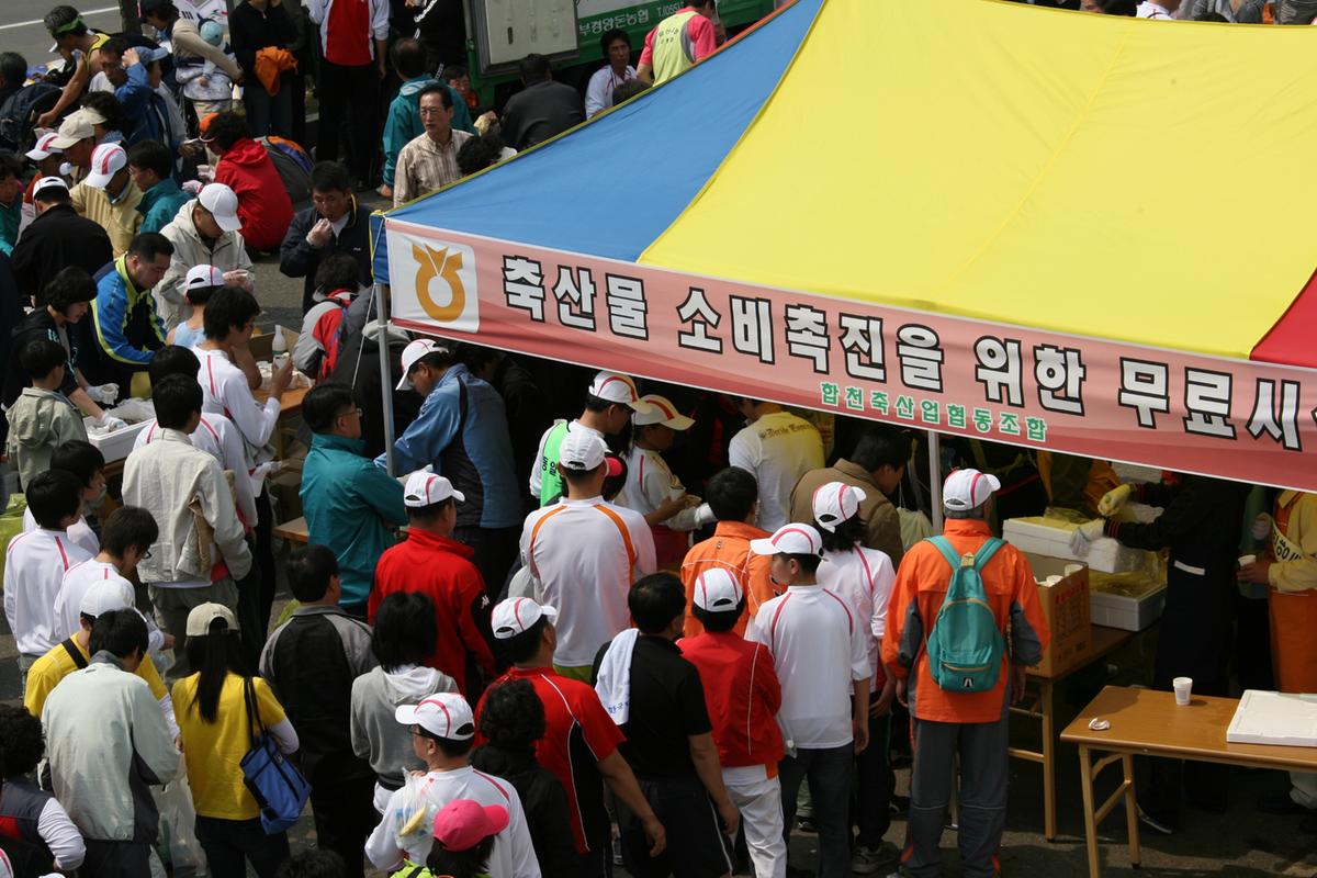 제6회 합천 벚꽃축제 마라톤대회