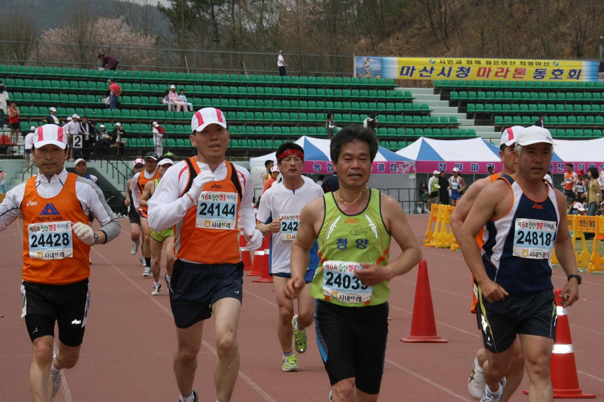 제6회 합천 벚꽃축제 마라톤대회