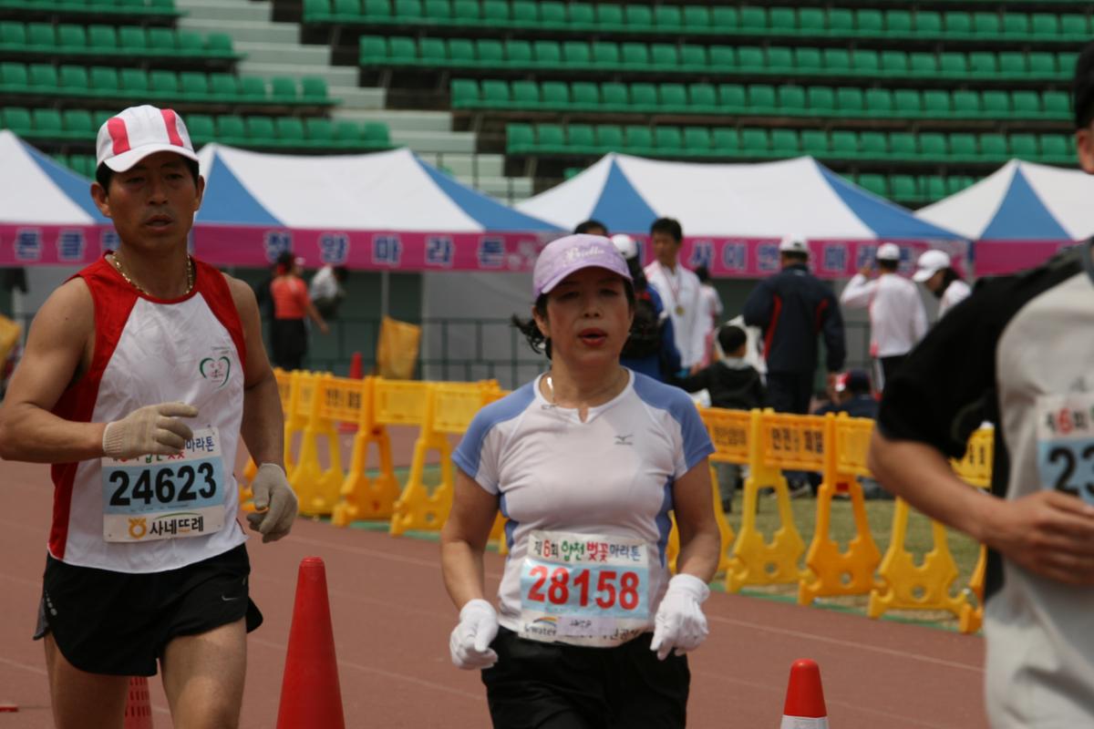 제6회 합천 벚꽃축제 마라톤대회