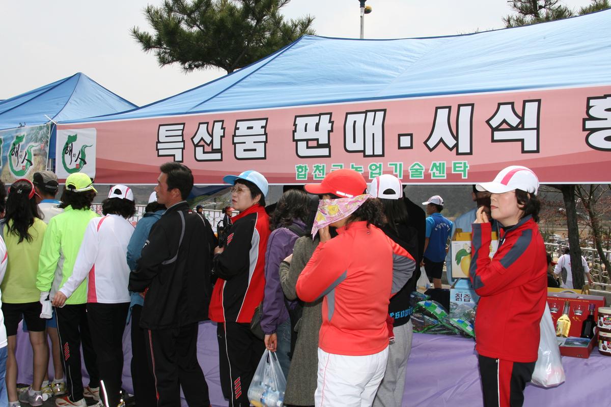 제6회 합천 벚꽃축제 마라톤대회