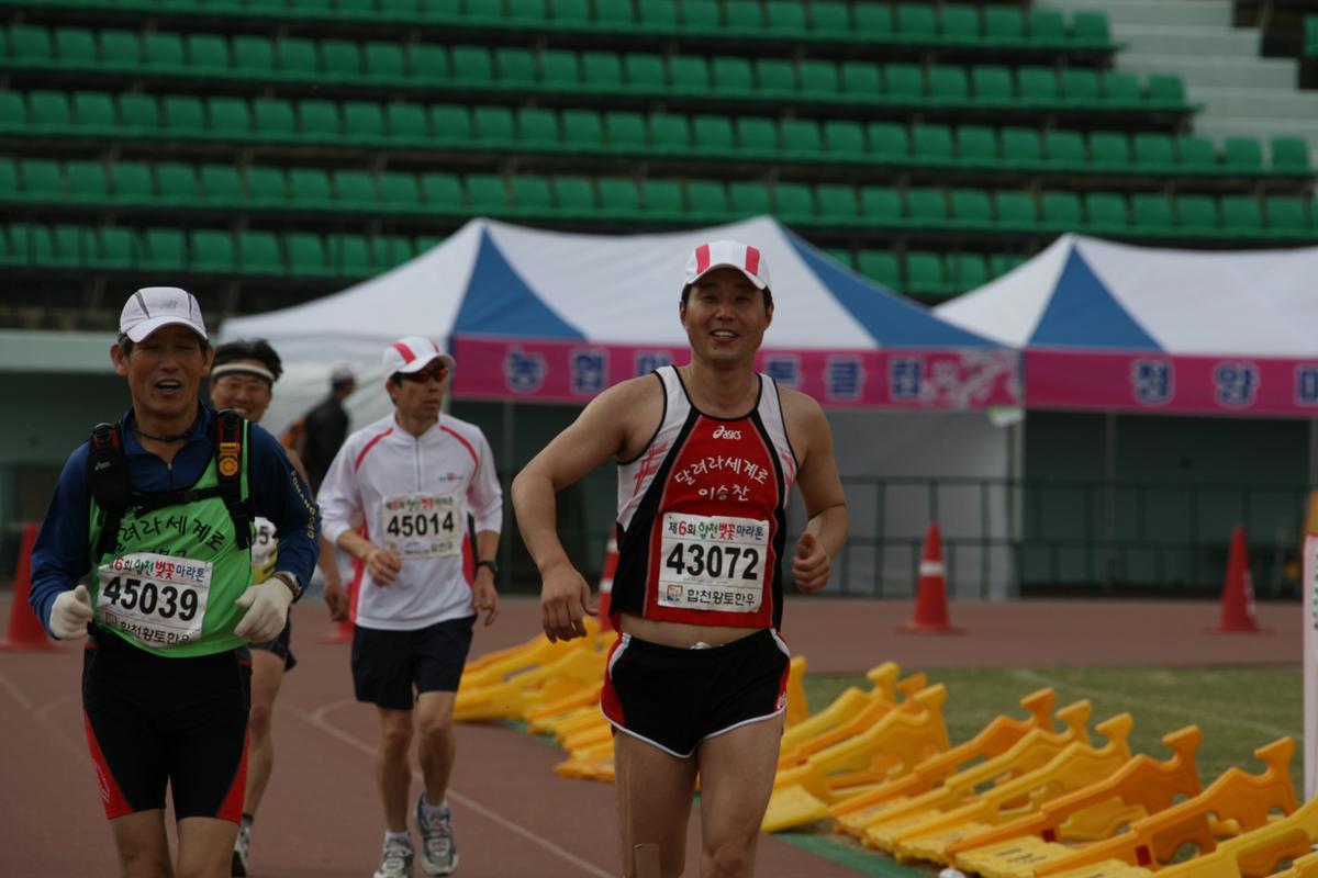 제6회 합천벚꽃마라톤대회