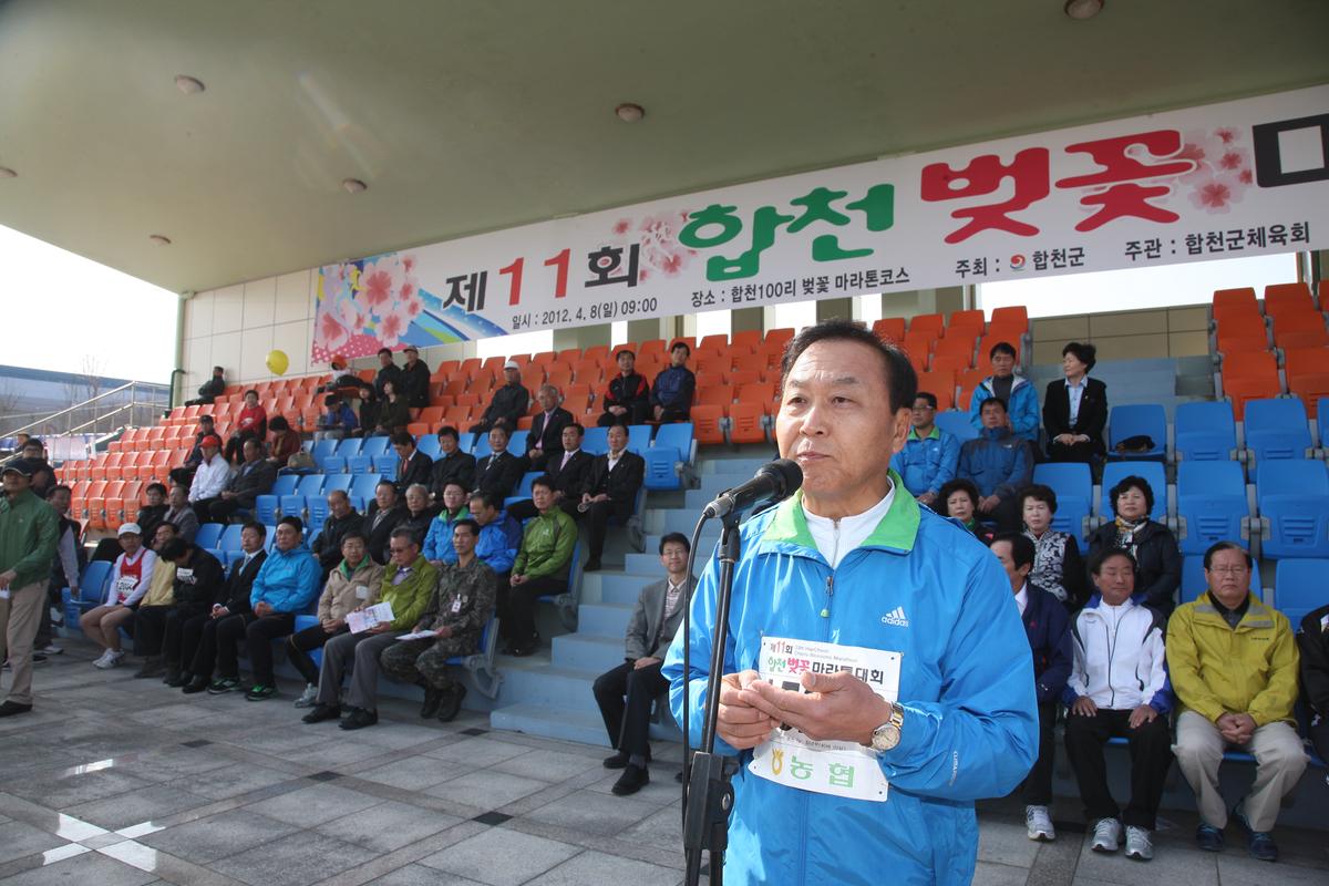 제11회 합천 벚꽃마라톤대회