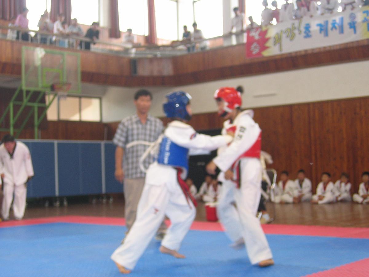 동아리태권도대회1
