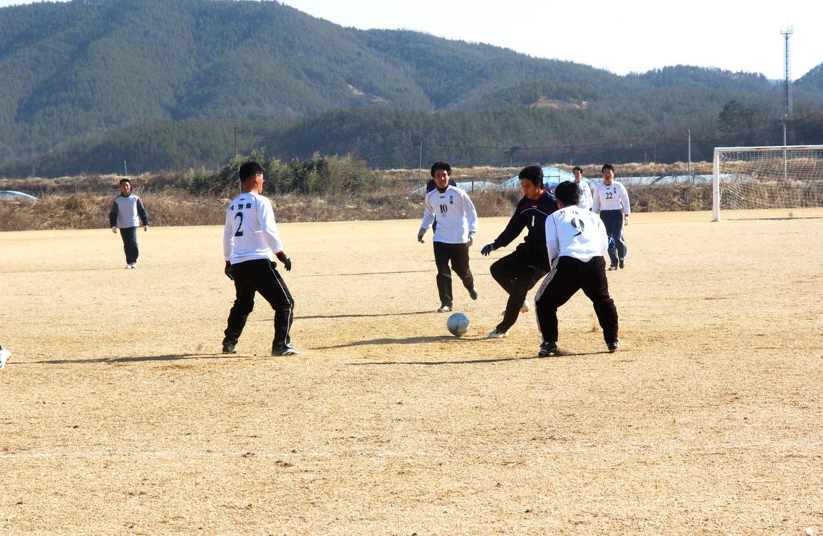 율곡 조기 축구 대회