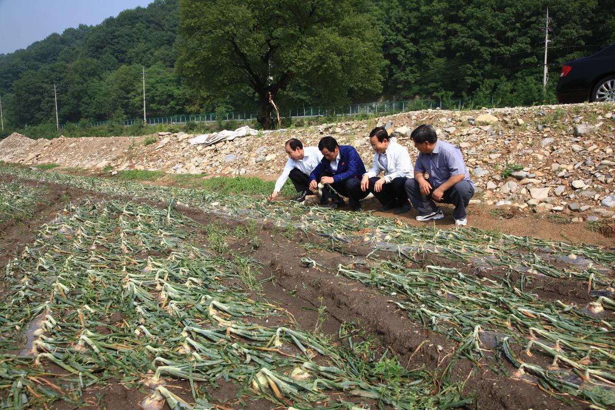 2012년5월29일