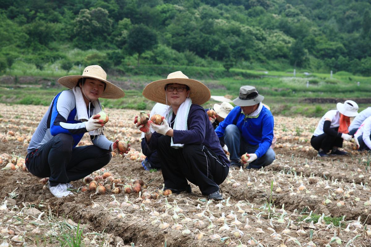 2012년6월15일