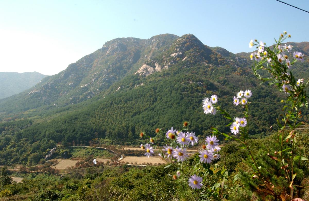 합천나들이황매산전경2
