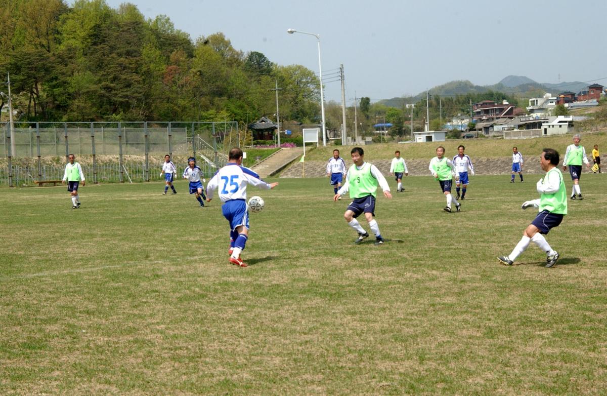 제17회 율곡면민체육대회 및 제10회 경로잔치