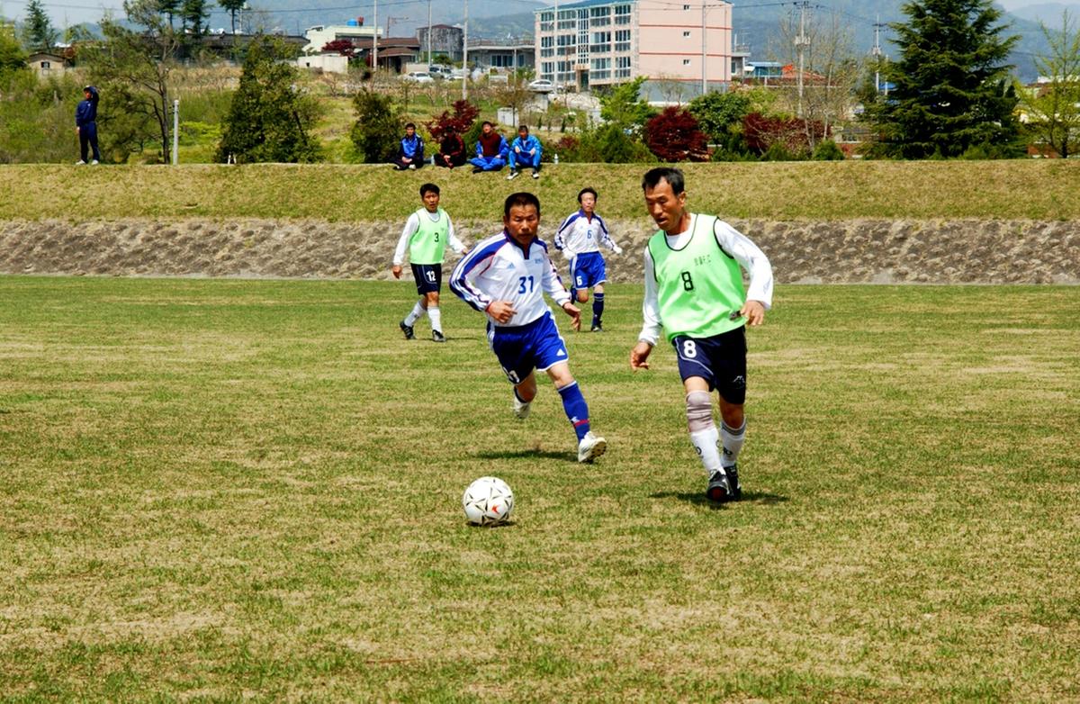 제17회 율곡면민체육대회 및 제10회 경로잔치