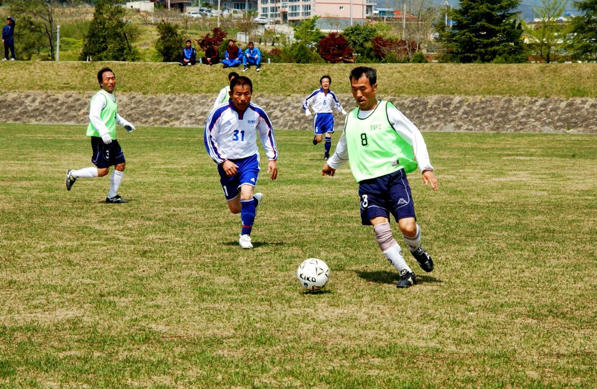 제17회 율곡면민체육대회 및 제10회 경로잔치