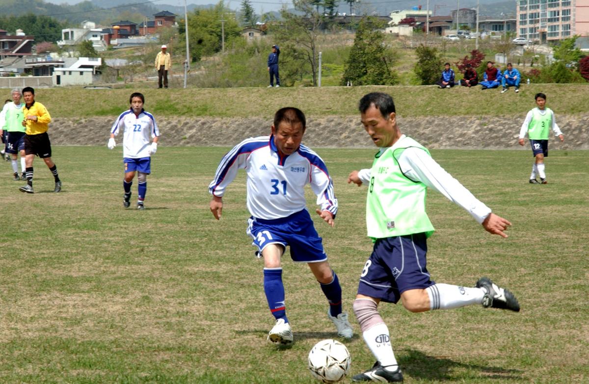 제17회 율곡면민체육대회 및 제10회 경로잔치