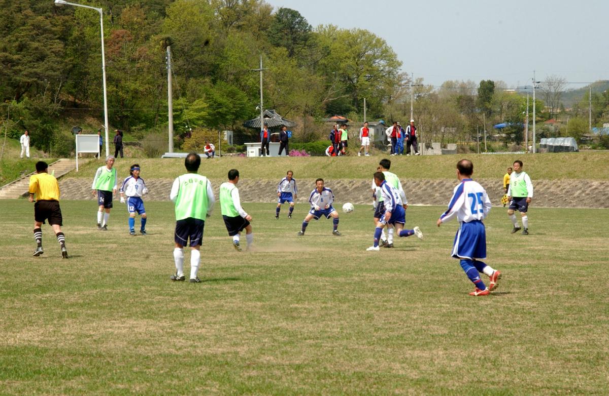 제17회 율곡면민체육대회 및 제10회 경로잔치