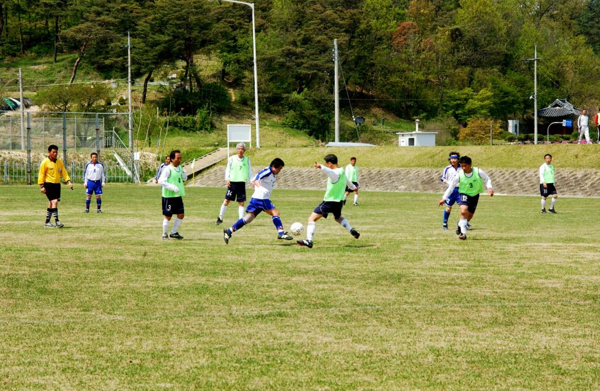 제17회 율곡면민체육대회 및 제10회 경로잔치