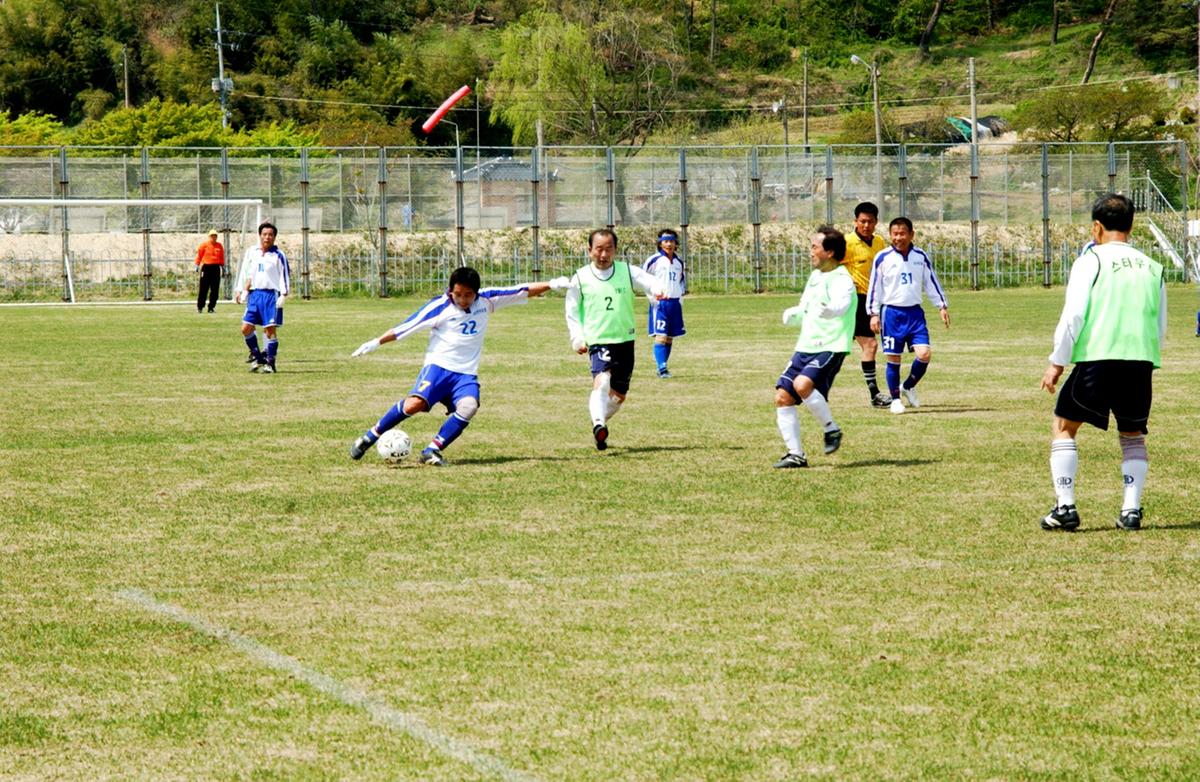 제17회 율곡면민체육대회 및 제10회 경로잔치
