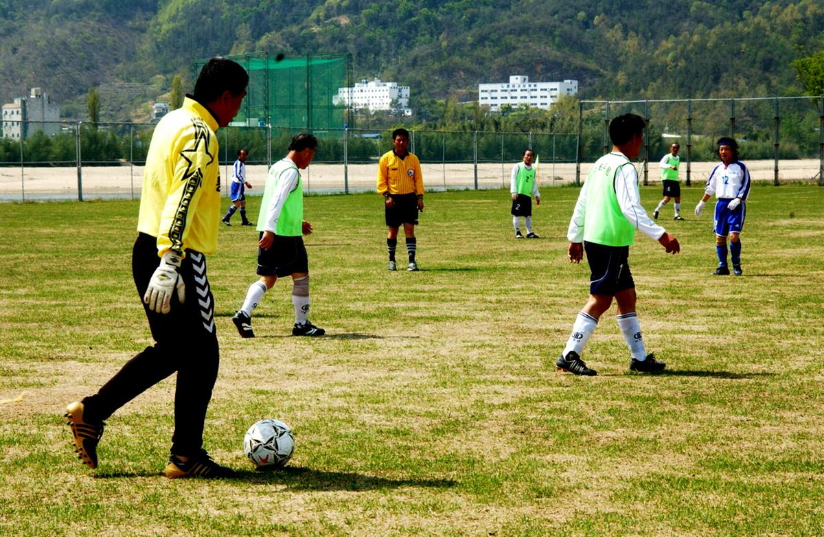 제17회 율곡면민체육대회 및 제10회 경로잔치