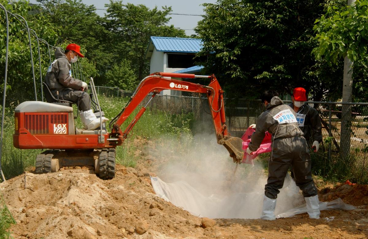 구제역 발생 가상방역훈련