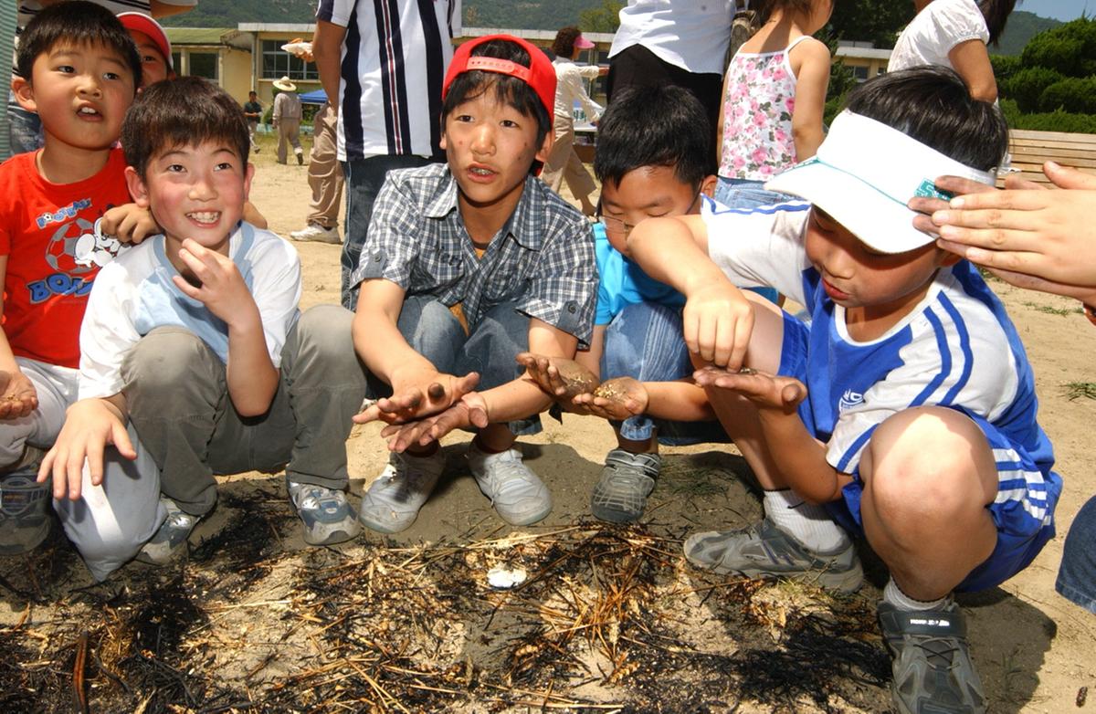 2005년 우리밀 밀사리 문화체험