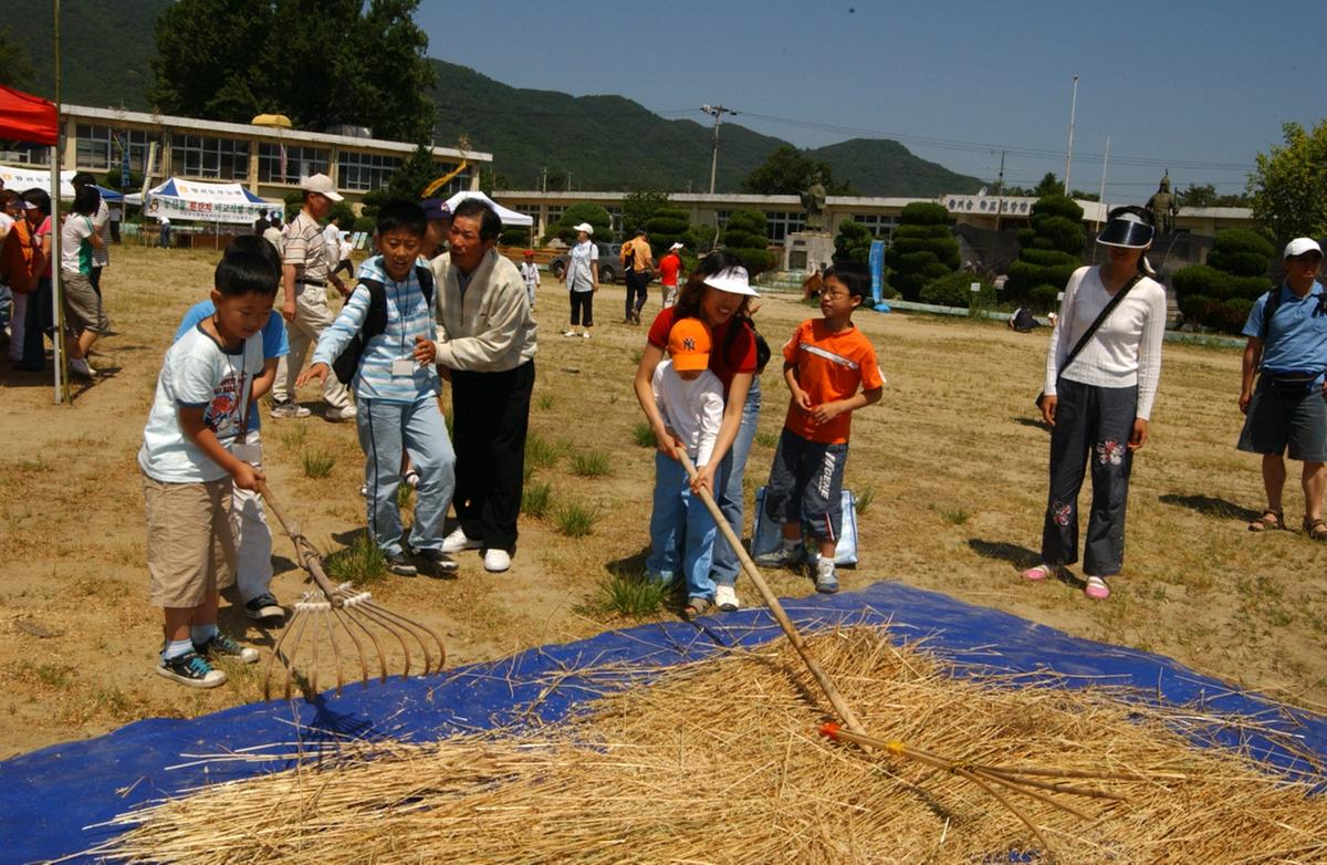 2005년 우리밀 밀사리 문화체험