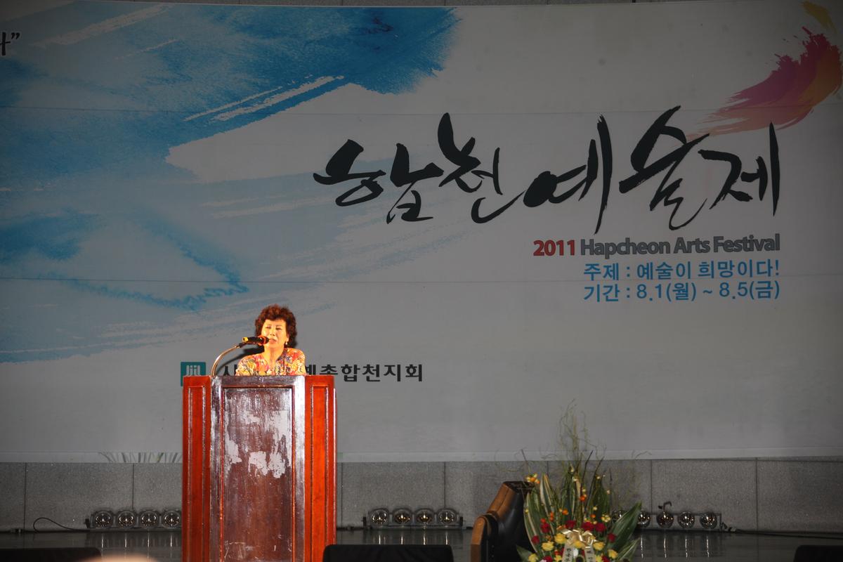 2011년 합천예술제