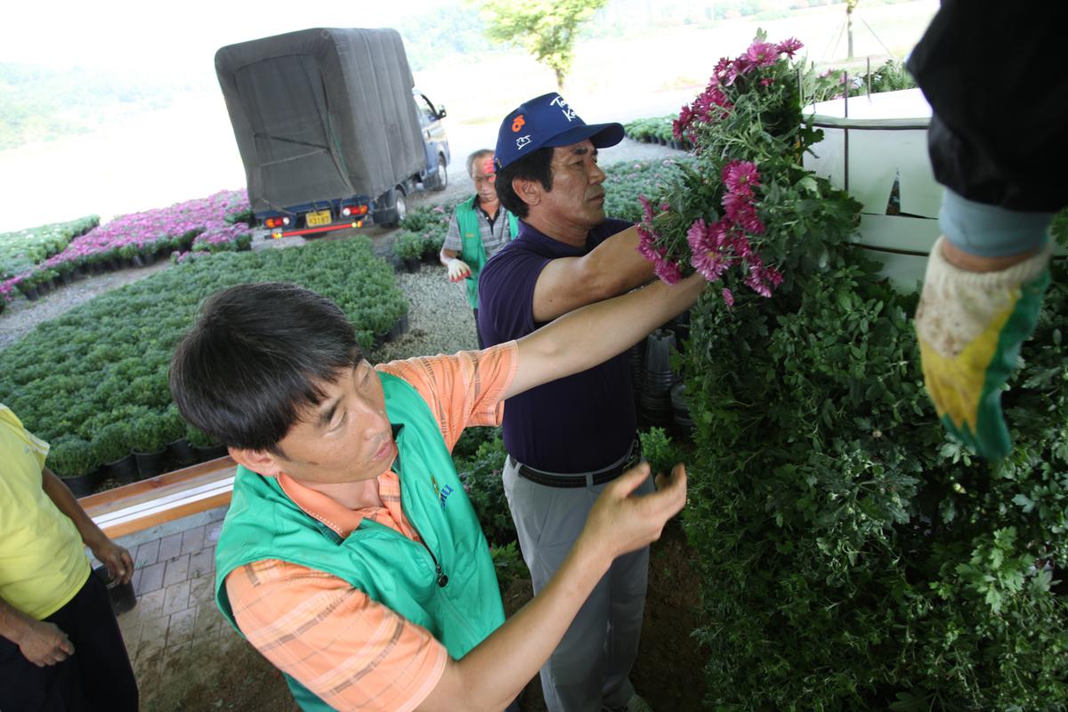 2012년 9월2일  환경개선사업