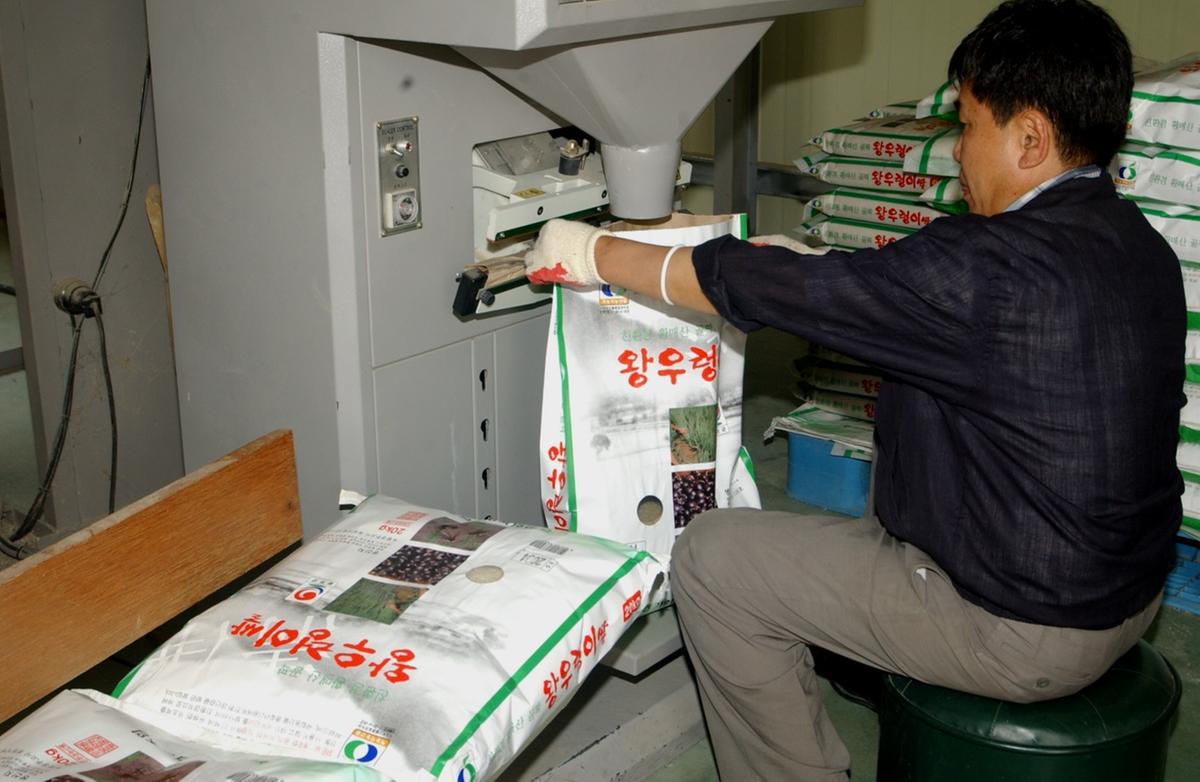 합천 왕우렁이쌀