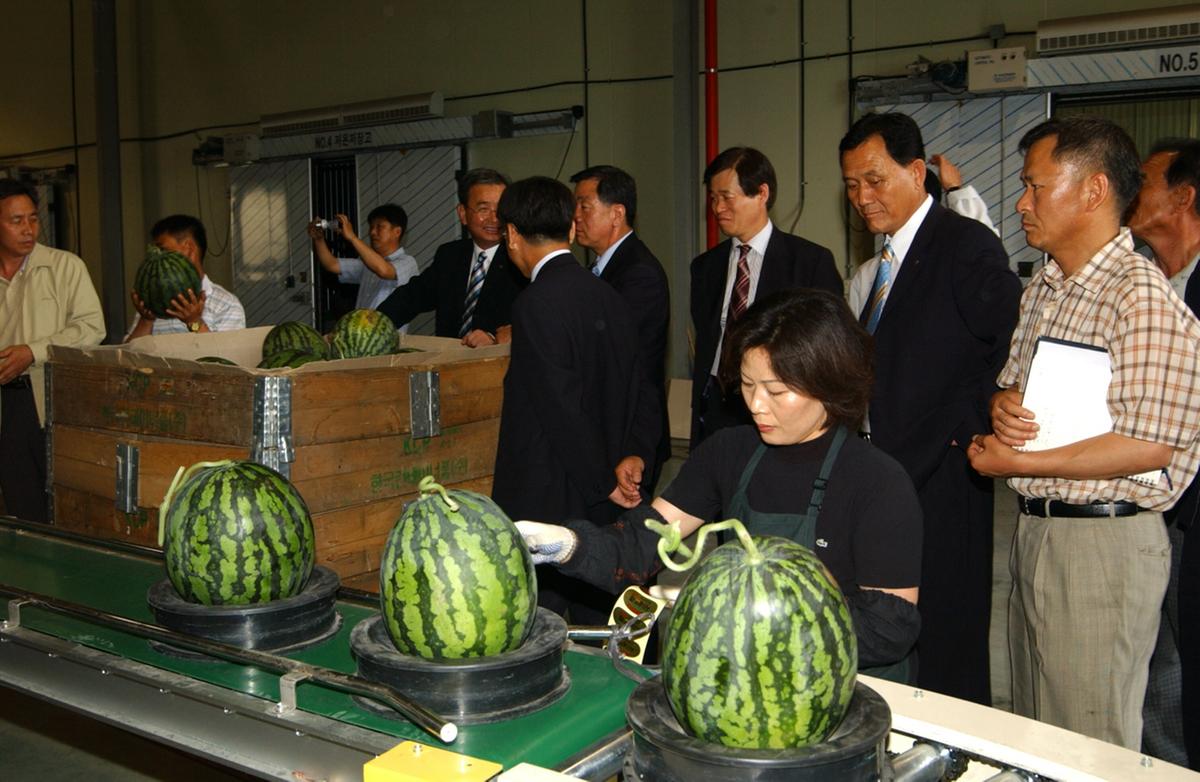 수박 비파괴당도선별기 시연회