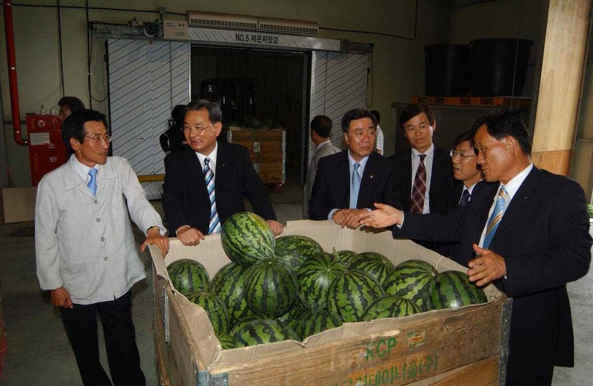 수박 비파괴당도선별기 시연회