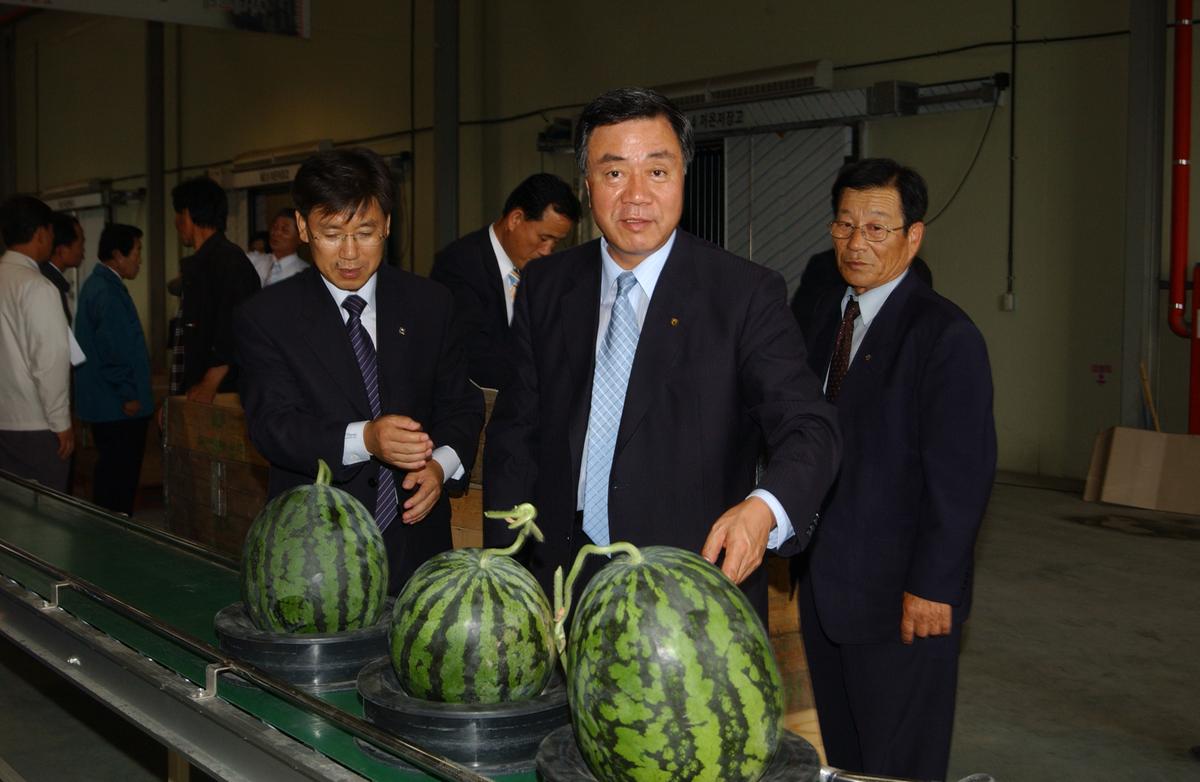수박 비파괴당도선별기 시연회