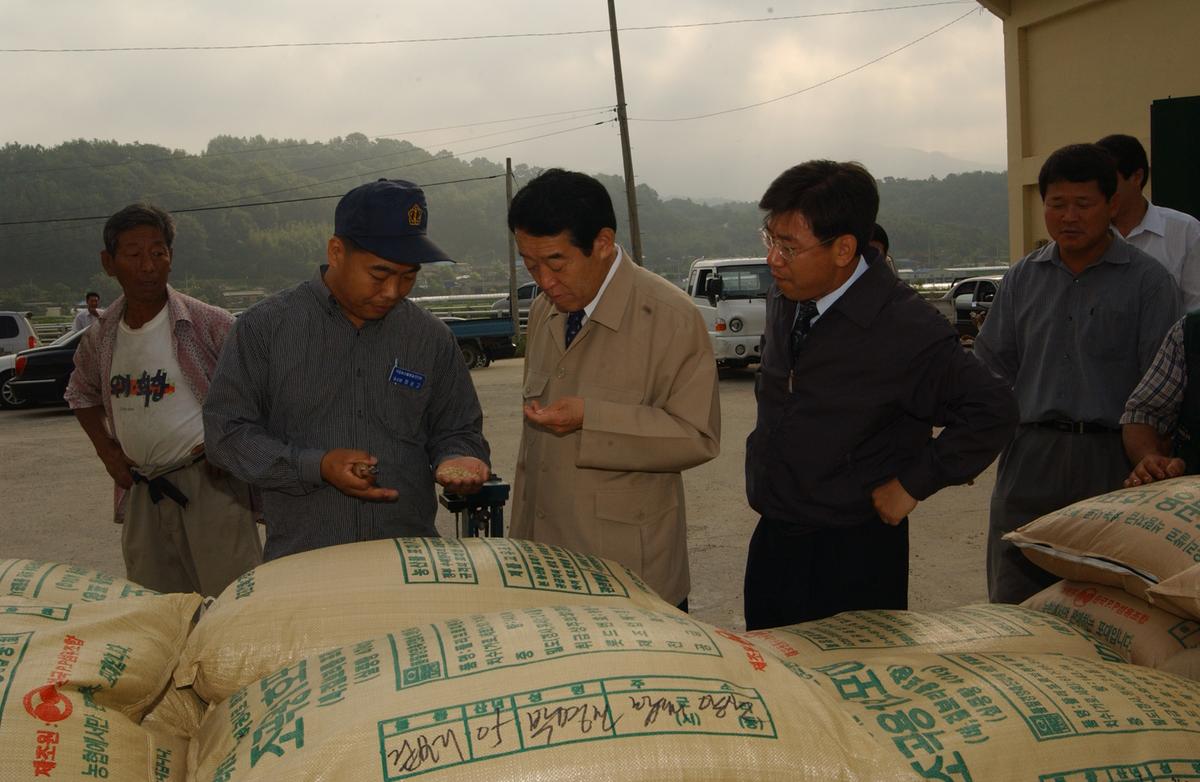 2005년 하곡수매